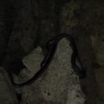 img_30961